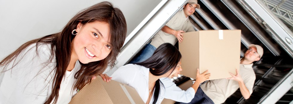 Professional Removalists Pitt Town